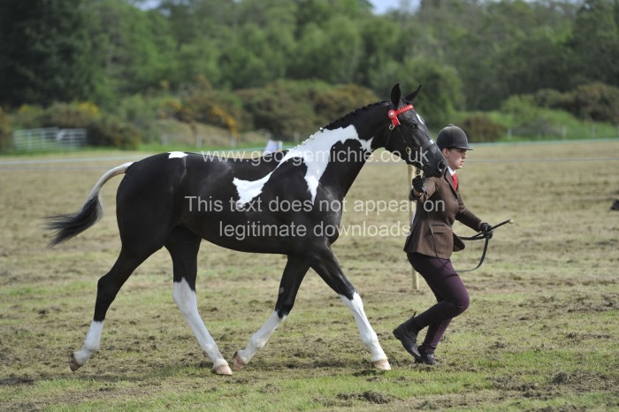Wilberry 2019 saturday