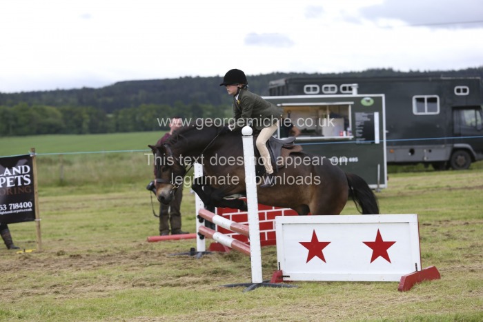 Wilberry 2019 Sunday