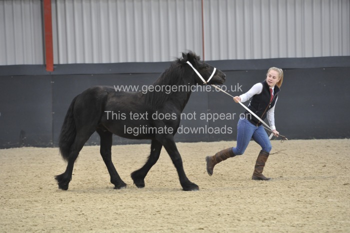Neighfield Pony Show