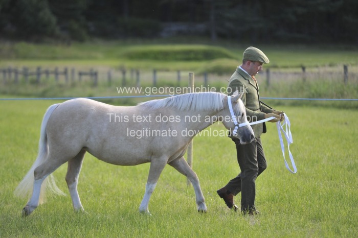 Grantown Show 2023