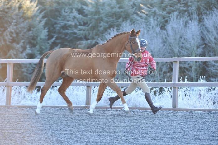Neighfield December 2023