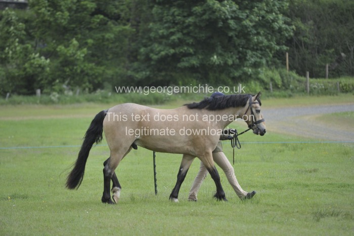 Neighfield Show May 24