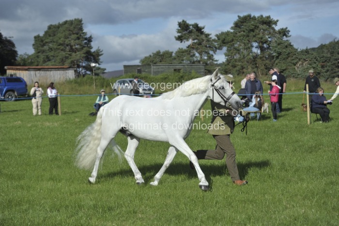 Grantown Show 2024